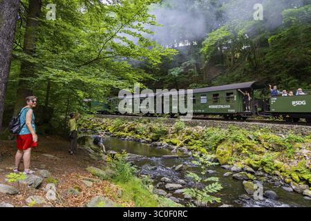 La ferrovia a scartamento ridotto Freital-Hainsberg-Kurort Kipsdorf, nota anche come Weisseritz Valley Railway, è una ferrovia sassone a scartamento ridotto nel periodo pasquale Foto Stock