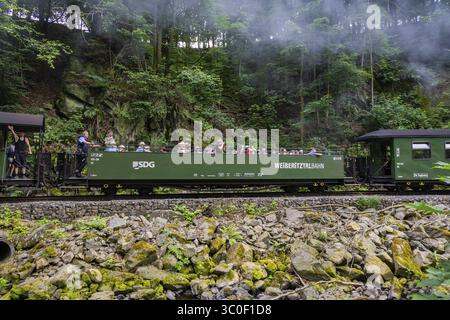 La ferrovia a scartamento ridotto Freital-Hainsberg-Kurort Kipsdorf, nota anche come Weisseritz Valley Railway, è una ferrovia sassone a scartamento ridotto nel periodo pasquale Foto Stock