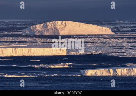 Vista degli iceberg brillano con un bagliore morbido e etereo, che contrastano nettamente con il mare blu profondo nel tranquillo paesaggio dell'Isola di Seymour, Antartide Foto Stock