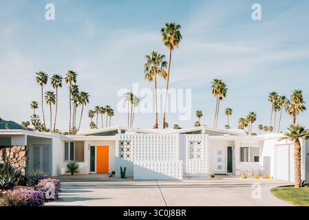 Palme e casa moderna della metà del secolo a Palm Springs, California Foto Stock