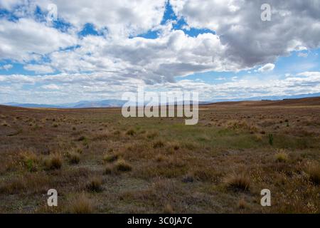 Un vasto paesaggio aperto caratterizzato da una pianura erbosa sotto un cielo nuvoloso. L'orizzonte è fiancheggiato da montagne lontane, creando un carattere sereno ed esteso Foto Stock