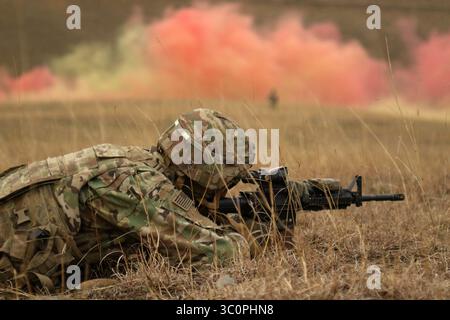 5 dicembre 2018 - Vaziani Training area, Georgia - Un soldato degli Stati Uniti assegnato alla Cobra Company, 2nd Battalion, 8th Cavalry Regiment, 1st Armored Brigade Combat Team, 1st Cavalry Division tira la sicurezza durante un evento di fuoco combinato di armi in diretta da una compagnia multinazionale a sostegno del Georgia Defense Readiness Program presso la Vaziani Training area in Georgia, 5 dicembre 2018. Il GDRP è un programma congiunto in cui l'esercito degli Stati Uniti consiglia, guida e forma personale e comandanti georgiani al fine di migliorare la preparazione al combattimento. (Immagine di credito: © U.S. Army National Guard/ZUMA Wire/ZUMAPRESS.com) Foto Stock