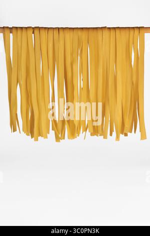 Spaghetti fettuccine all'uovo freschi, essiccati in primo piano su uno sfondo bianco con spazio di copia Foto Stock