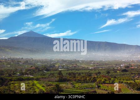 Splendida vista di Tenerife con il maestoso Monte Teide che si innalza sopra la lussureggiante valle sotto il cielo con nuvole sparse. In primo piano vengono visualizzati i campi verdi e. Foto Stock