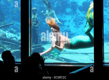 28 giugno 2016 - Weeki Wachee, Florida, Stati Uniti - BRENDAN FITTERER | Times.la sirena Whitney dà un bacio pieno di bolle al pubblico mentre si esibisce durante lo spettacolo mattutino di ''The Little Mermaid'' di Hans Christian Andersen martedì (6/28/16) al Weeki Wachee Springs State Park. Come hanno fatto per decenni, le sirene si esibiscono ancora ogni giorno per gli ospiti nel teatro del parco, che è incorporato in primavera e si trova a 16 piedi sotto la superficie. Per ulteriori informazioni sul parco, tra cui il parco acquatico, Buccaneer Bay, nonché gli orari e gli orari estivi, visitare il sito www.weekiwachee.com. (Credit Image: © Brenda Foto Stock