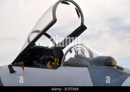 Il cocco del pugile Foto Stock