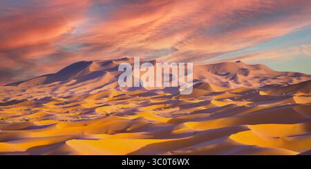 Vasto paesaggio del deserto del Sahara: Dune dorate e orizzonti infiniti in Nord Africa Foto Stock
