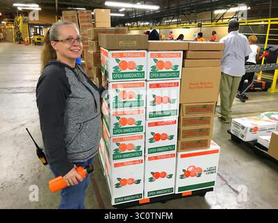 13 dicembre 2018 - Stati Uniti - Pamela Martin, vicepresidente esecutivo della Florida Gift Fruit Shippers Association di Orlando, si trova accanto a una pila di scatole di frutta regalo prima che vengano caricate sui camion. (Immagine di credito: © Martin E. Comas/Orlando Sentinel/TNS via cavo ZUMA) Foto Stock