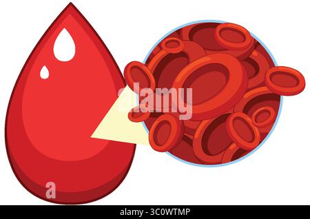 Illustrazione vettoriale di una goccia di sangue rosso e di una vista ingrandita dei globuli rossi, utilizzando colori vivaci, linee pulite e composizione semplice Illustrazione Vettoriale