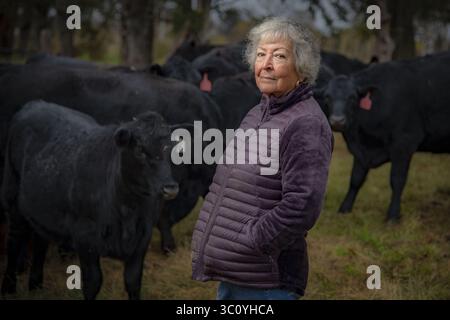 8 novembre 2018 - Perkins, Oklahoma, Stati Uniti d'America - Margarita Munoz, azienda messicana americana di 81 anni, oltre 800 acri e gestisce 250 capi di bestiame da sola vicino a Perkins, Oklahoma. Munoz utilizzò i suoi risparmi per il pensionamento nel 1995 per acquistare 120 acri, un trattore e un aratro a disco e 20 giovenche. Oggi possiede un grande ranch di successo che gestisce da sola. (Immagine di credito: © Preston Keres via ZUMA Wire) Foto Stock