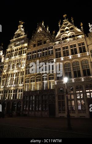 Le case delle corporazioni illuminate al Grote Markt, Anversa, Belgio Foto Stock