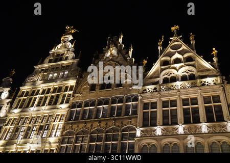 Primo piano, case delle corporazioni illuminate, Grote Markt, Anversa, Belgio Foto Stock