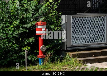 Un idrante rosso sorge accanto ad un edificio, parzialmente nascosto da lussureggianti arbusti verdi. Nelle vicinanze si trova un cancello metallico che offre un moderno contrasto con la vibrante idra Foto Stock
