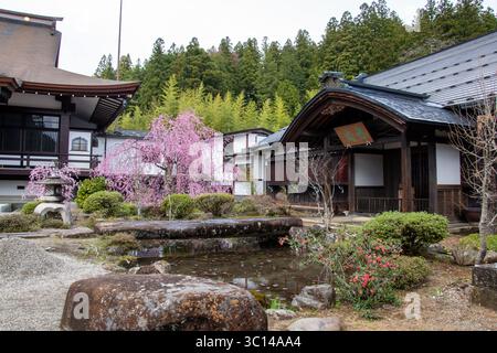 Takayama Giappone templi sakura ciliegi parchi gente fiori statue tradizione architettura cartelli case in legno santuario Foto Stock