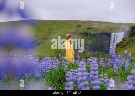 Un tranquillo paesaggio islandese mette in mostra una giovane donna con una giacca gialla luminosa che si erge tra i vivaci lupini viola. Cascata Skogafoss Foto Stock