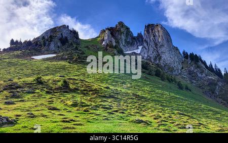 Impressionanti formazioni rocciose, circondate da prati verdi freschi e luminosi nella stagione primaverile, Diemtigtal, Alpi svizzere, Svizzera Foto Stock
