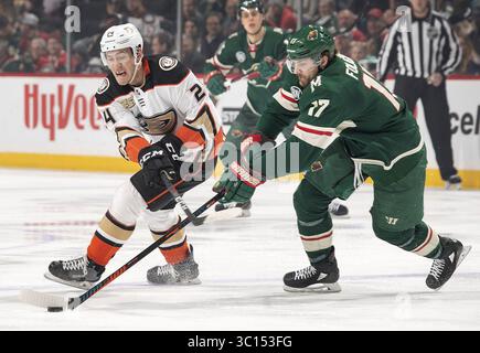 17 gennaio 2019 - St. Paul, Minnesota, USA - Carter Rowney (24) degli Anaheim Ducks e Marcus Foligno (17) dei Minnesota Wild si battono per il puck nel primo periodo allo Xcel Energy Center di St. Paul, min., giovedì 17 gennaio 2019. (Immagine di credito: © Carlos Gonzalez/Minneapolis Star Tribune/TNS via cavo ZUMA) Foto Stock