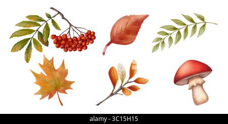 Una serie di illustrazioni autunnali con bacche di rowan, foglie autunnali colorate e funghi. Dipinto a mano in un caldo stile acquerello Foto Stock