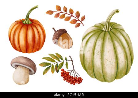 Scogliera autunnale con zucche arancioni e verdi, funghi, ghianda, rami di rowan e foglie autunnali. Dipinto a mano in delicato stile acquerello Foto Stock