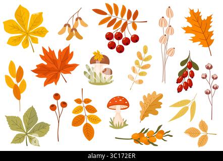 Decorazioni autunnali: Foglie di alberi, fiori, bacche e funghi. Raccolta di foglie autunnali e frutta per motivi, striscioni, adesivi, biglietti d'auguri. Illustrazione Vettoriale