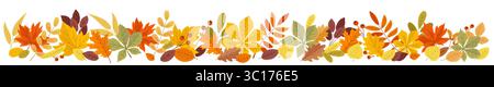 Bordo orizzontale autunnale con foglie arancioni, gialle, verdi e rami di bacca rossa isolati su sfondo bianco. Sfondo stagionale autunnale con col Illustrazione Vettoriale