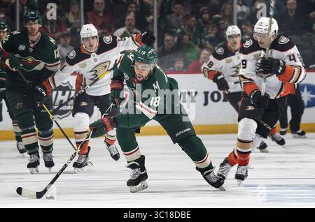 17 gennaio 2019 - St. Paul, Minnesota, USA - il Minnesota Wild's Jordan Greenway (18) si fa strada sul ghiaccio nel primo periodo contro gli Anaheim Ducks allo Xcel Energy Center di St. Paul, min., giovedì 17 gennaio 2019. (Immagine di credito: © Carlos Gonzalez/Minneapolis Star Tribune/TNS via cavo ZUMA) Foto Stock