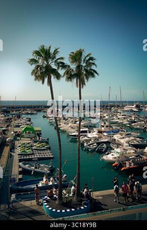 Vista pittoresca sulle due palme del porticciolo di Puerto Colon, Costa Adeje, Tenerife, Isole Canarie Foto Stock