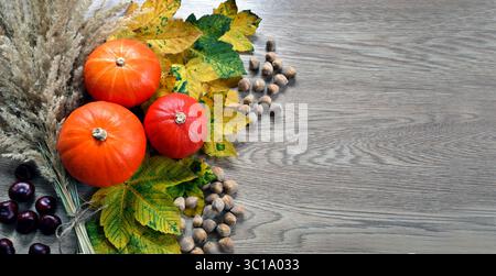 Zucche autunnali e nocciole con foglie autunnali su fondo di legno. Un allestimento ispirato all'autunno con zucche arancioni e erbe secche Foto Stock