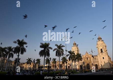 Plaza Mayor de Lima al tramonto. Vista della facciata della cattedrale di Lima, delle palme e degli uccelli volanti. Lima, Perù Foto Stock