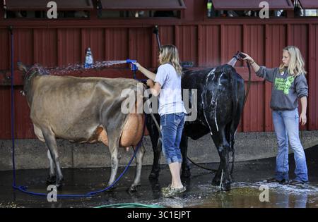 23 agosto 2018 - Falcon Heights, Minnesota, Stati Uniti - primo giorno della fiera statale del Minnesota... Heights, MN 08/23/2018. (Immagine di credito: Brian Peterson/Minneapolis Star Tribune/TNS via cavo ZUMA) Foto Stock