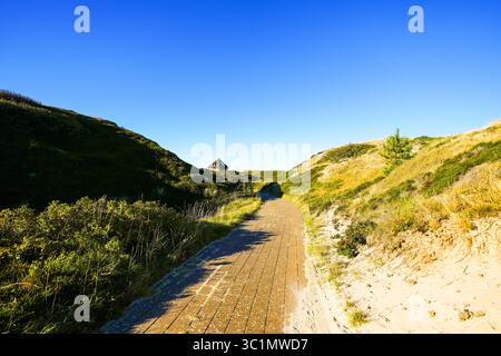 Paesaggio vicino a Hörnum sull'isola di Sylt. Vista della costa con dune. Foto Stock