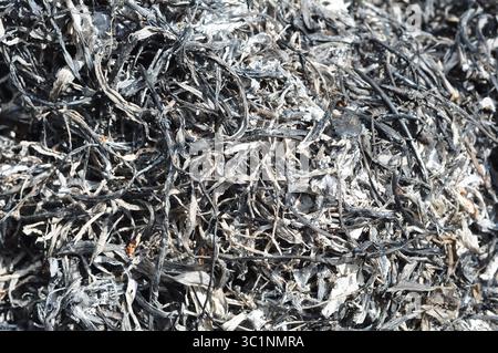 Detriti carbonizzati dopo l'incendio Foto Stock