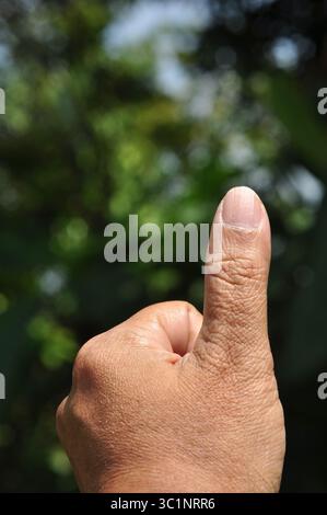Consente di alzare il movimento della mano sullo sfondo sfocato di Green Nature Foto Stock