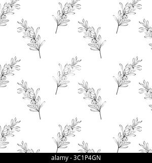 Motivo ramoscelli rosmarini, disegnato a mano, ramificato con fiori e foglie, su sfondo bianco. Illustrazione vettoriale Illustrazione Vettoriale