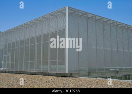 Dokumentationszentrum Topographie des Terrors, Niederkirchnerstraße, Kreuzberg, Bezirk Friedrichshain-Kreuzberg, Berlino, Germania Foto Stock