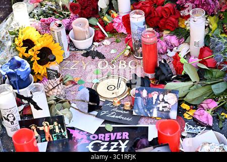 Hollywood, Stati Uniti. 22 luglio 2025. Fiori commemorativi sulla Hollywood Walk of Fame Star di Ozzy Ozbourne il 22 luglio 2025 a Hollywood, CA. © Starbuck/ credito: AFF/Alamy Live News Foto Stock