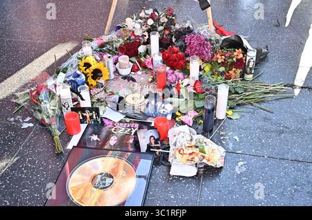 Hollywood, Stati Uniti. 22 luglio 2025. Fiori commemorativi sulla Hollywood Walk of Fame Star di Ozzy Ozbourne il 22 luglio 2025 a Hollywood, CA. © Starbuck/ credito: AFF/Alamy Live News Foto Stock