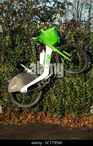 Noleggio di biciclette elettriche o biciclette elettriche Lime scartate da ciclisti o piantagioni, sul recinto accanto al marciapiede di Hampton, vicino a Sunbury. REGNO UNITO (142) Foto Stock