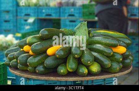Zucchine verdi fresche e verdi gialle disposte ordinatamente su un tavolo presso un mercato agricolo locale, condite da una foglia di cavolo sabaudo, pronte per la vendita. Foto Stock