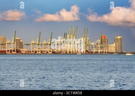 L'animato porto di Miami, catturato con la sua impressionante infrastruttura navale in un cielo luminoso e sullo sfondo della città. Foto Stock