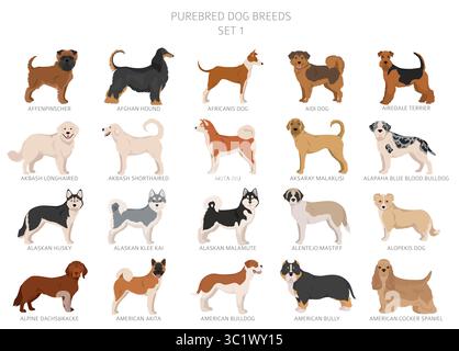Raccolta di tutte le razze di cani. Raccolta in 28 set. Immagine realistica di razze di cani con diversi colori del cappotto. Illustrazione vettoriale Illustrazione Vettoriale