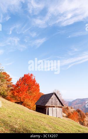 Casa in legno in prato aperto circondata da una foresta di faggi con foglie rosse sulle colline autunnali. Idilliaca scena autunnale perfetta per tranquille fotografie di montagna Foto Stock