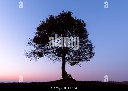 Silhouette del viaggiatore sotto un grande albero nel prato di montagna al tramonto con il cielo rosa. Calmo paesaggio serale con luce soffusa e atmosfera tranquilla all'aperto Foto Stock