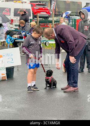 Giudicare i cani al Corrandulla Show, County Galway, Irlanda, una giornata annuale di eventi agricoli, di salto di qualità, di mostre canine ed eventi di carnevale Foto Stock