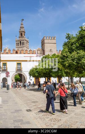 Persone turisti e turisti al Patio de Banderas, una piazza pubblica situata all'interno delle mura del Alcázar di Siviglia nel quartiere di Santa Cruz Foto Stock