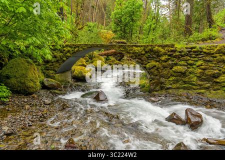 Stone Bridge - Una vista tempestosa di primavera di un piccolo ponte di pietra che attraversa il Multnomah Creek in cima alle Multnomah Falls. Columbia River Gorge, Oregon, Foto Stock