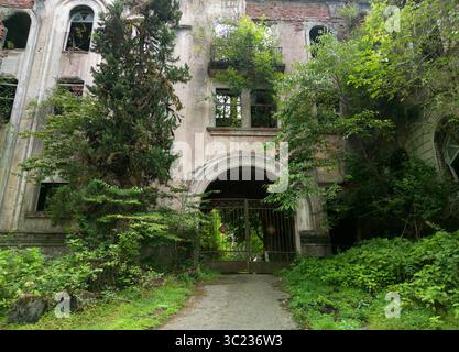 Edificio abbandonato nella città di Akarmara dopo la guerra, città di Tkvarcheli, Abkhazia. Le vecchie case distrutte sono ricoperte di piante verdi in estate Foto Stock