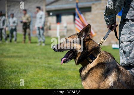 17 aprile 2019 - Vandenberg, California, Stati Uniti - il cane operaio militare Zsander si siede per la sua cerimonia di ritiro presso la Vandenberg Air Force base, California, 17 aprile 2019. Allenatori, amici e familiari si sono Uniti a Zsander per celebrare i suoi nove anni di servizio. (Immagine di credito: © U.S. Army/ZUMA Wire/ZUMAPRESS.com) Foto Stock