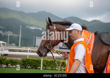 28 aprile 2019 - Hong Kong, Stati Uniti - SHA TIN, HONG KONG - APRILE 25: Beauty Generatiion al trackwork il 25 aprile all'ippodromo Sha Tin di Hong Kong prima di iniziare nel FWD Champions Mile. Michael McInally/Eclipse Sportswire/CSM(immagine di credito: &Copy; Michael Mcinally/CSM tramite cavo ZUMA) Foto Stock