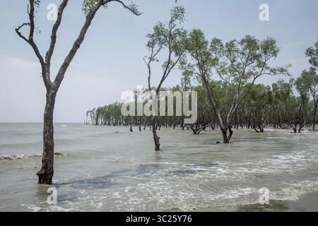 3 maggio 2019 - Odisha, India - il ciclone Fani ha colpito Odisha, India e continua a muoversi verso il Bangladesh. L'alta marea ha già colpito molti luoghi e tutti i pescherecci e i pescatori sono tornati dal mare. (Immagine di credito: © Jashim Salam/ZUMA Wire) Foto Stock